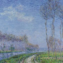 Trees on the Bank of the River